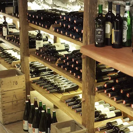 & Restaurant Ragginger Attersee 4* Nussdorf am Attersee