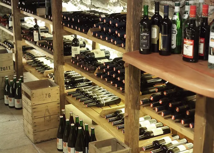 & Restaurant Ragginger Attersee 4* Nussdorf am Attersee